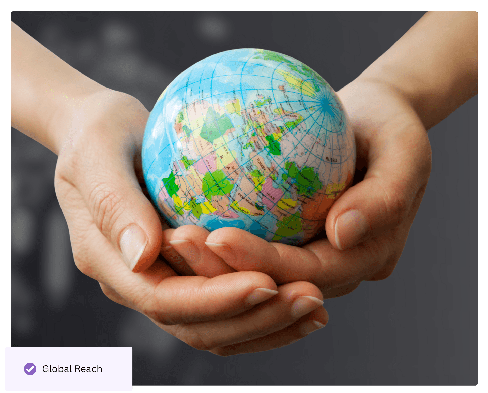 Warm forex leads with worldwide coverage