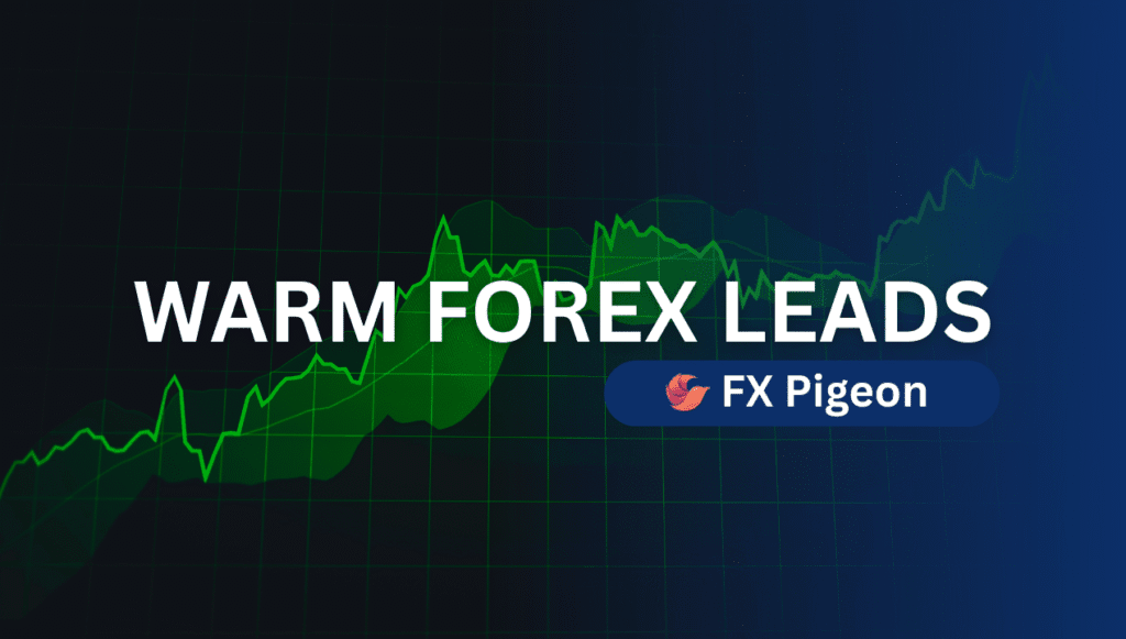 Business professional analyzing Forex Warm Leads on a computer screen